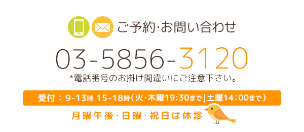 ご予約・お問い合わせ 03-5856-3120